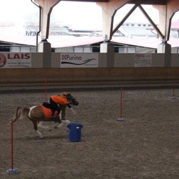 Pony Games -Trofeo 4 Regioni - Sommacampagna 28-02+01-03