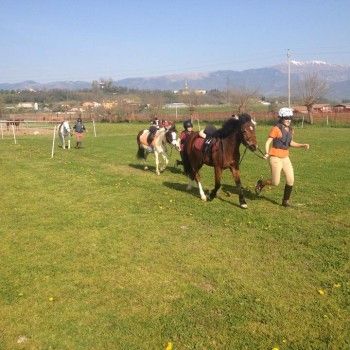 Domenica 30 marzo - Allenamento speciale Endurance Pony 