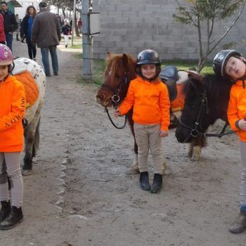 Pony Day 19 febbraio 2017 Casale