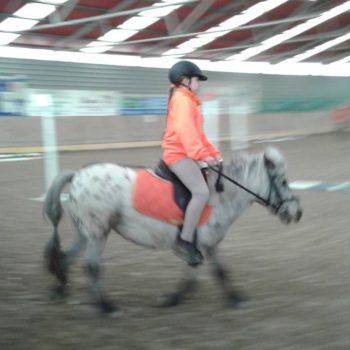 Pony Day 19 febbraio 2017 Casale