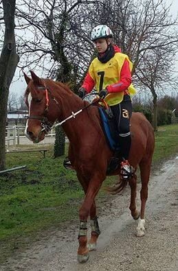 Endurance - Vivaro 5 marzo 2017