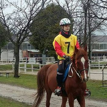 Endurance - Vivaro 5 marzo 2017