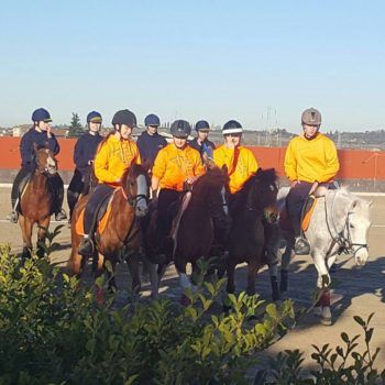 Pony Games - Sommacampagna - VR - Trofeo 4 Regioni 2017
