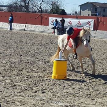 Pony Games - Sommacampagna - VR - Trofeo 4 Regioni 2017