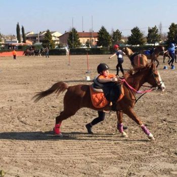 Pony Games - Sommacampagna - VR - Trofeo 4 Regioni 2017