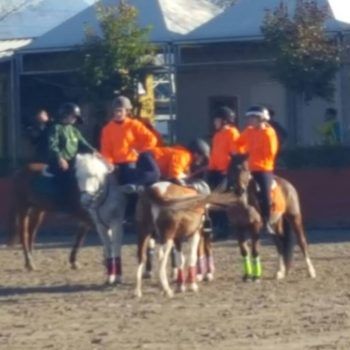 Pony Games - Sommacampagna - VR - Trofeo 4 Regioni 2017