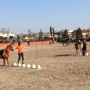 Pony Games - Sommacampagna - VR - Trofeo 4 Regioni 2017