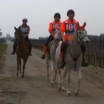 Endurance -Vivaro-26 Marzo 2017