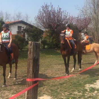 Endurance -Vivaro-26 Marzo 2017