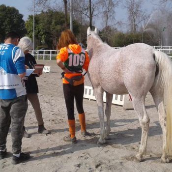 Endurance -Vivaro-26 Marzo 2017