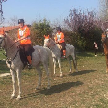 Endurance -Vivaro-26 Marzo 2017
