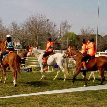 Endurance -Vivaro-26 Marzo 2017