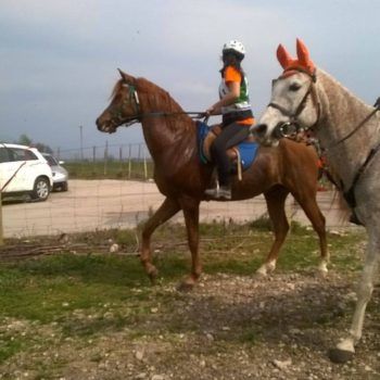 Endurance -Vivaro-26 Marzo 2017