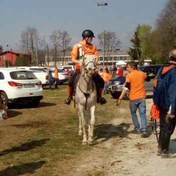 Endurance -Vivaro-26 Marzo 2017