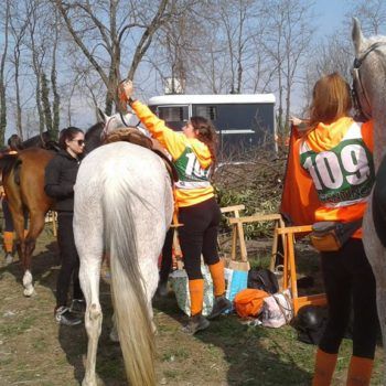Endurance -Vivaro-26 Marzo 2017
