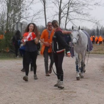 Endurance -Vivaro-26 Marzo 2017