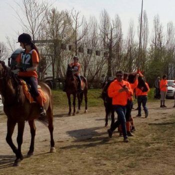 Endurance -Vivaro-26 Marzo 2017