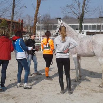 Endurance -Vivaro-26 Marzo 2017