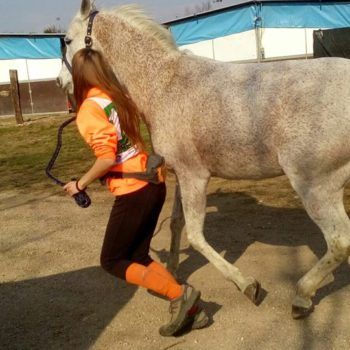 Endurance -Vivaro-26 Marzo 2017