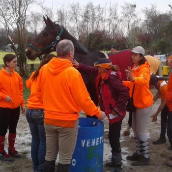 Endurance -Vivaro-26 Marzo 2017