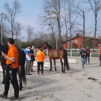 Endurance -Vivaro-26 Marzo 2017