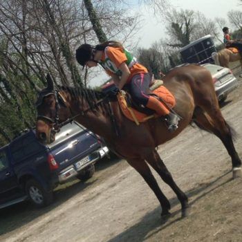 Endurance -Vivaro-26 Marzo 2017