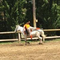 Pony Day Rovigo 14 maggio 2017
