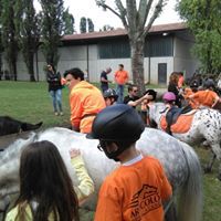 Pony Day Rovigo 14 maggio 2017