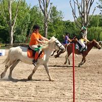 Pony Day Rovigo 14 maggio 2017