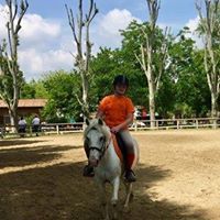 Pony Day Rovigo 14 maggio 2017
