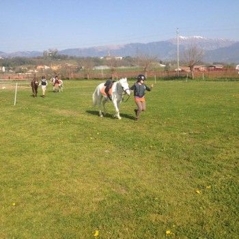 Domenica 30 marzo - Allenamento speciale Endurance Pony 