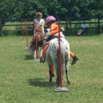 Pony Games : Campionati Regionali Club 9-11 giugno 2017