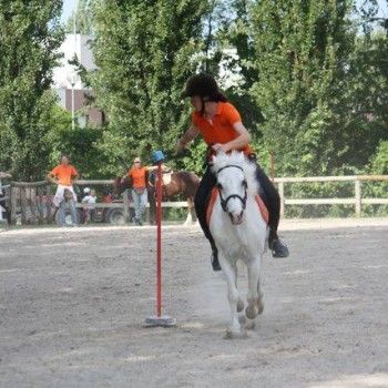 Pony Games - Rovigo - 18 Maggio 2014
