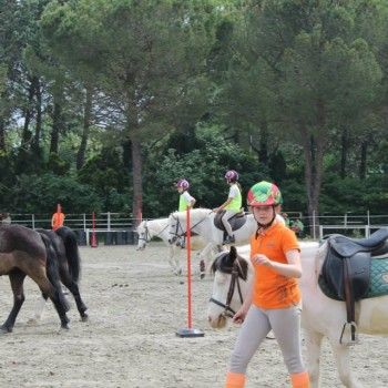 Ponymania -Cervia 25-27 aprile 2014