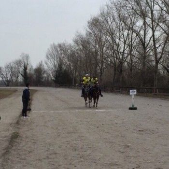 Endurance San Vito - 1 marzo 2015.