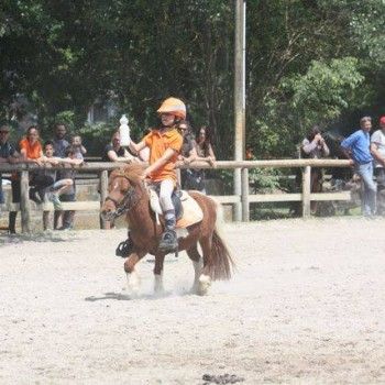  Pony Games - Rovigo - 18 Maggio 2014