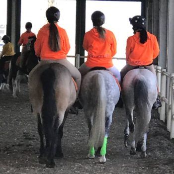 Pony Day Casale 11 febbraio 2018