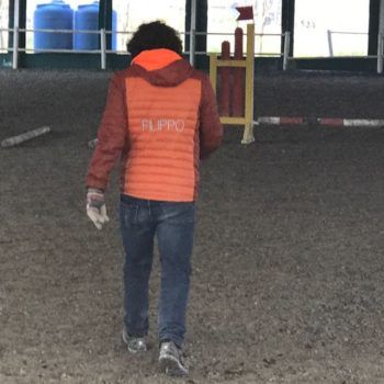 Pony Day Casale 11 febbraio 2018