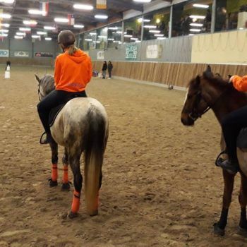 Pony Day Casale 11 febbraio 2018