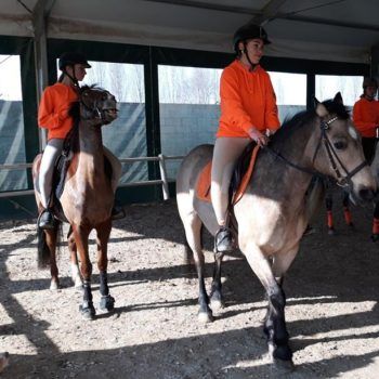 Pony Day Casale 11 febbraio 2018