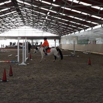 Pony Day Casale 11 febbraio 2018