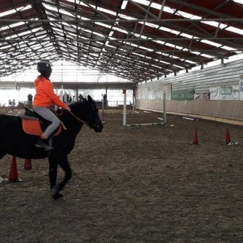 Pony Day Casale 11 febbraio 2018