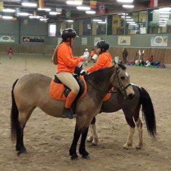 Pony Day Casale 11 febbraio 2018