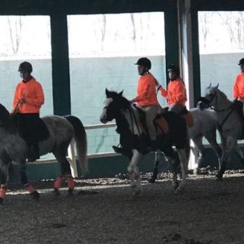 Pony Day Casale 11 febbraio 2018