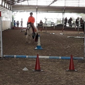 Pony Day Casale 11 febbraio 2018