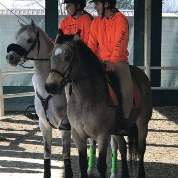 Pony Day Casale 11 febbraio 2018