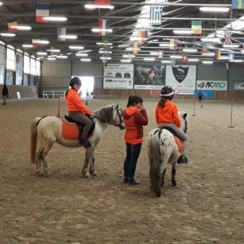Pony Day Casale 11 febbraio 2018