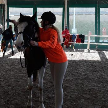 Pony Day Casale 11 febbraio 2018