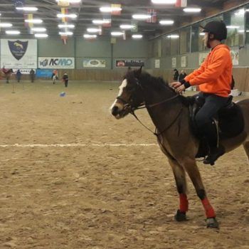 Pony Day Casale 11 febbraio 2018