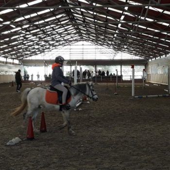 Pony Day Casale 11 febbraio 2018